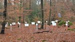 Messgeräte in einem Buchenwald im Hessischen Ried