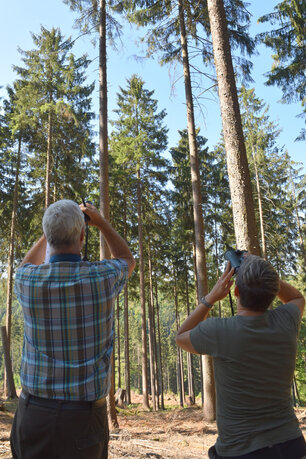 Zwei Forstleute begutachten Baumkronen.