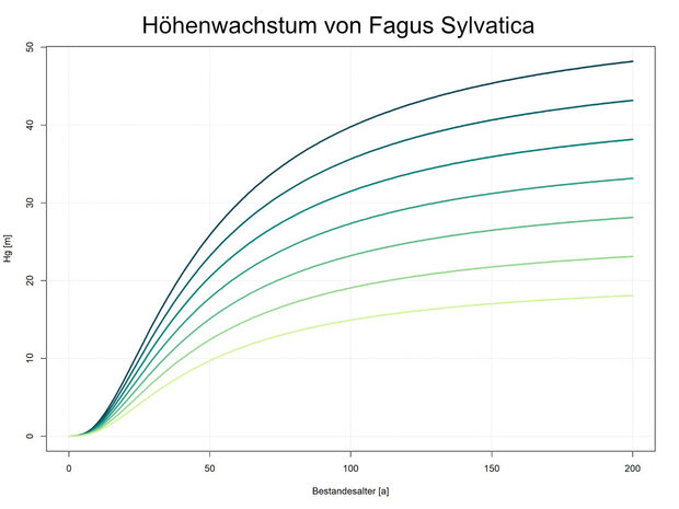 Höhenwachstumskurven der Rotbuche für unterschiedliche Standortsbedingungen (Grafik: J. Schick)