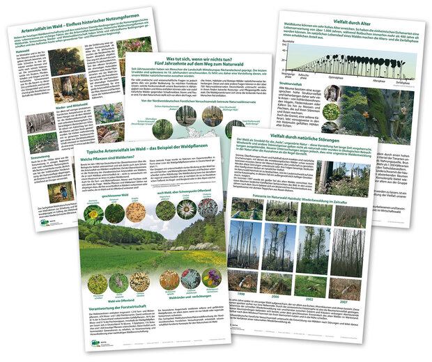 Verschiedene Poster zum Thema Waldnaturschutz bereinander