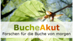 Logo des Projekts BucheAkut