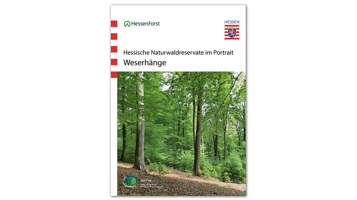 Cover des Naturwaldreservat-Portraits Weserhänge