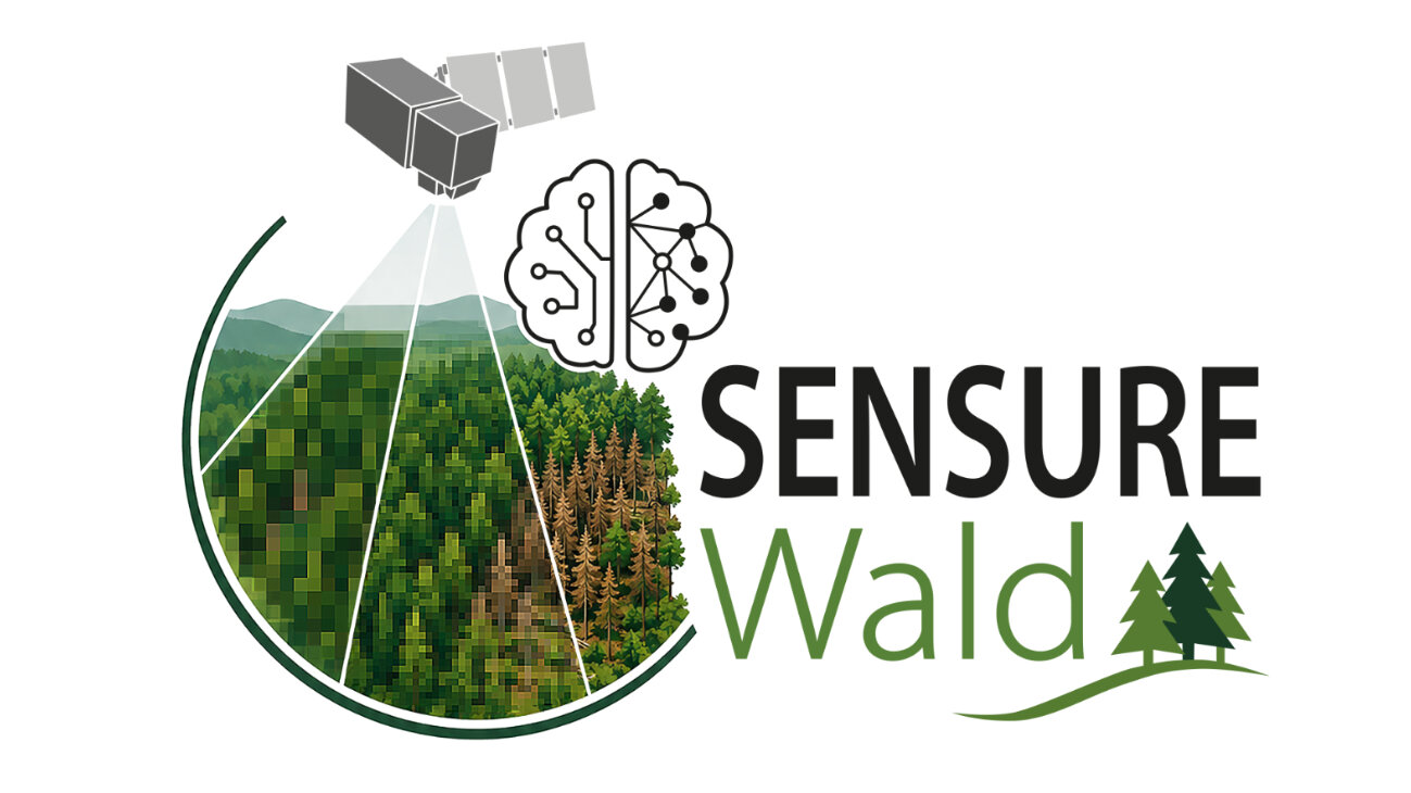 Logo des Projektes Sensure Wald