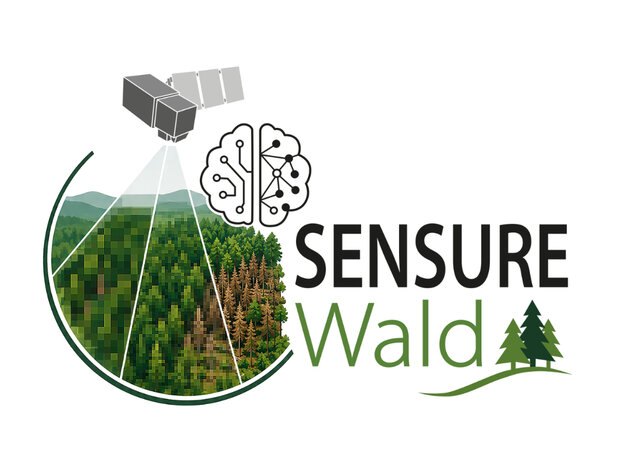Logo des Projekts SENSURE Wald