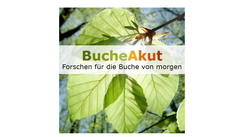 BucheAkut Logo