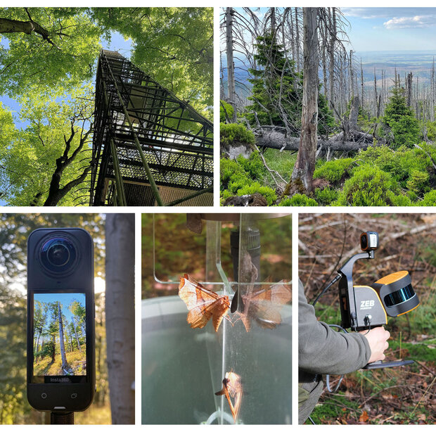 Die Collage zeigt Kahlflächen im Wald und Geräte der Forschung wie Klimatürme, 360°-Kameras, Lichtfallen, Laserscanning 