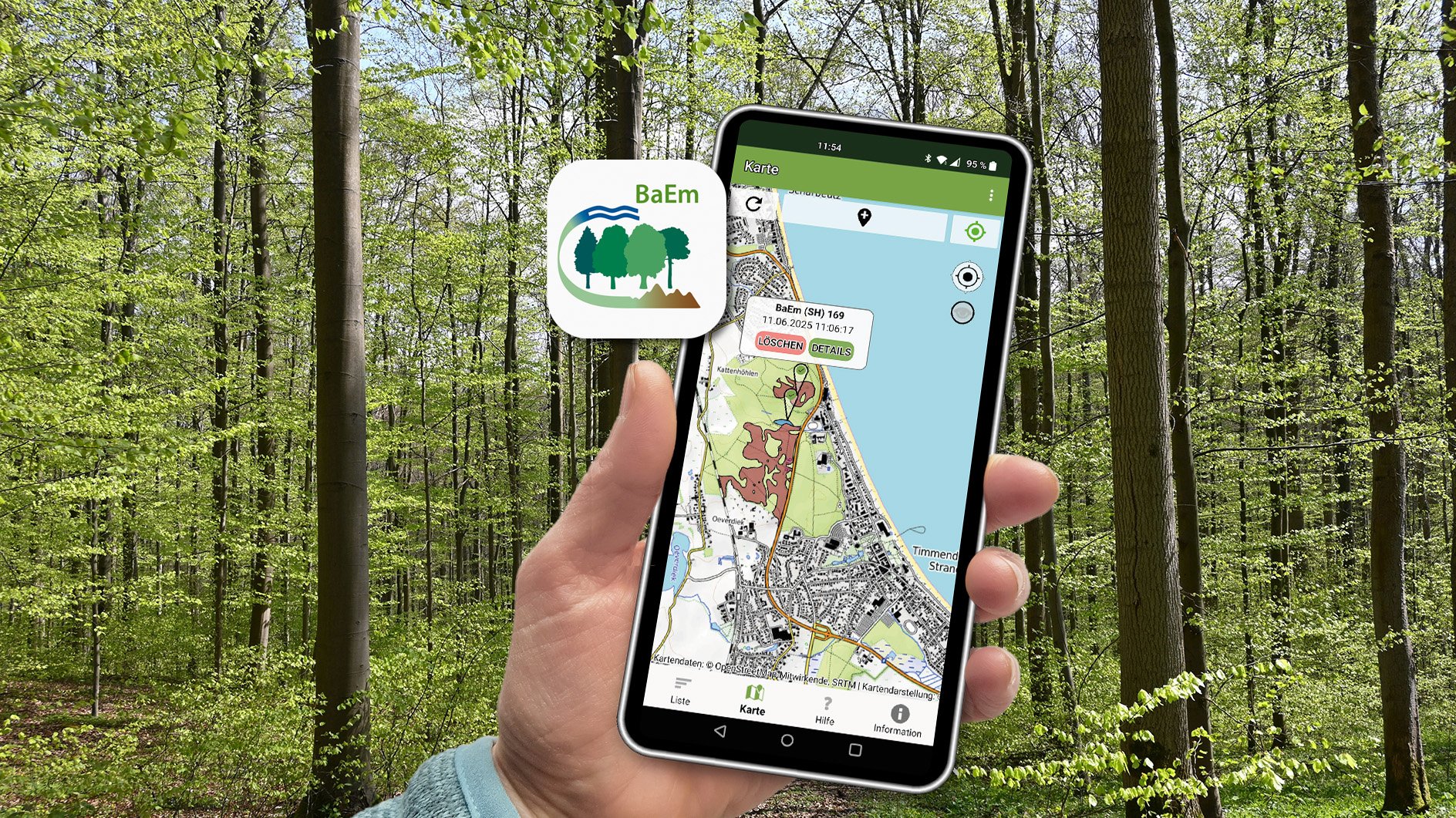 Hand mit Handy vor Waldhintergrund