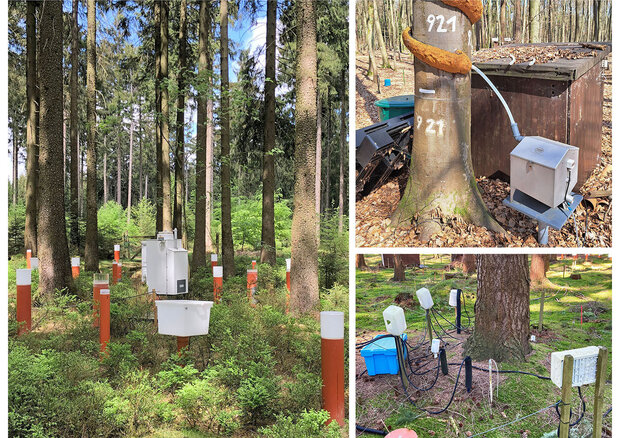 Messinstrumente zur Erfassung von Stoffeinträgen auf Intensivmonitoringflächen im Wald