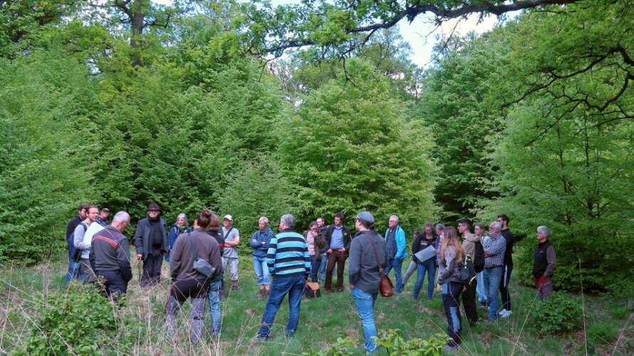 Gruppe Menschen im sommerlichen Hutewald