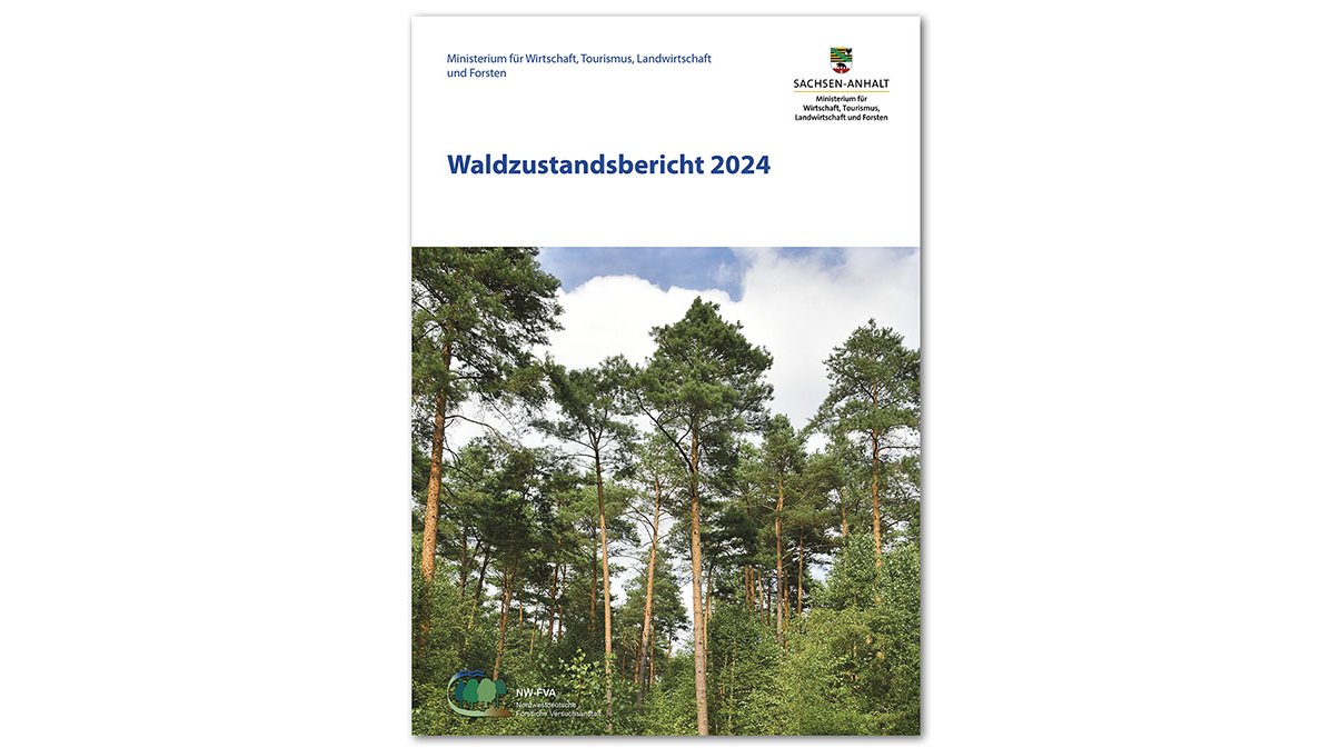 Titel des Waldzustandberichts 2024 Sachsen-Anhalt