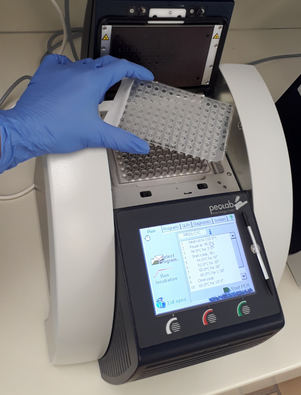 Gerät für eine moderne DNA-Analytik wird befüllt