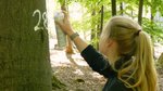 Försterin markiert eine Buche mit Sprühfarbe