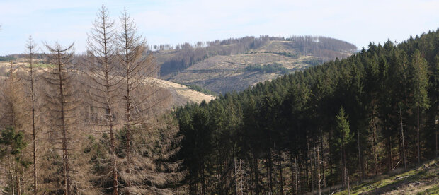 teils kahle Waldflächen in einem Mittelgebirge