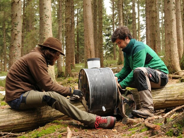 Auf dem Foto sind 2 Wissenschaftler bei der Erfassung der Buchdruckerdichte und der Diversität an Insekten mit einer entsprechenden Insektenfalle abgebildet. Foto: J. Hagge
