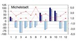 Grafik des Witterungsverlaufs 2025 in Michelstadt mit Veränderungen beim Niederschlag und Temperatur von Januar bis Dezember