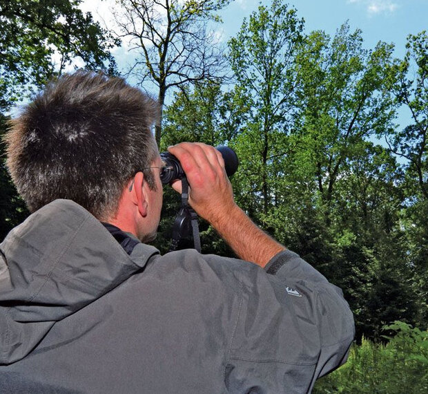 Förster schaut sich mit Fernglas Baumkronen an.