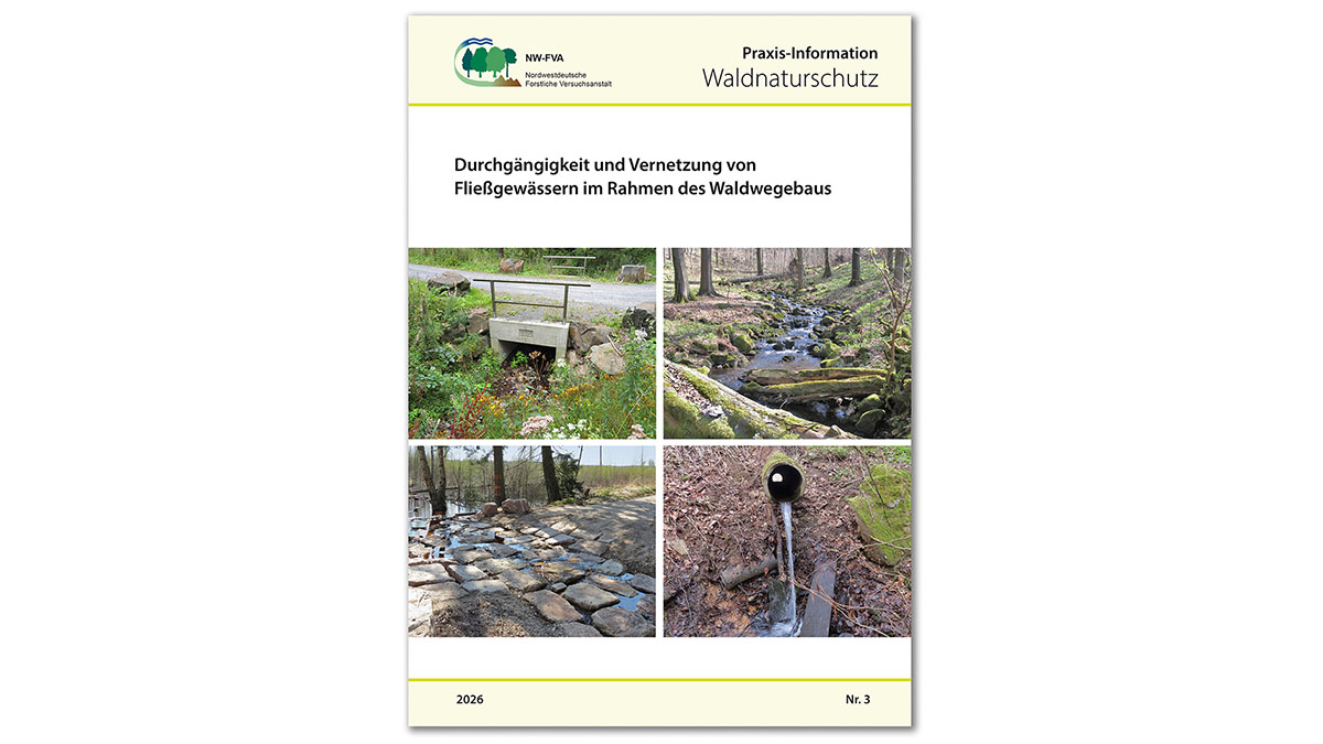 Cover der Praxis-Information Fließgewässer